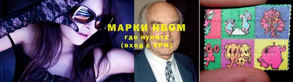 гашик Козельск