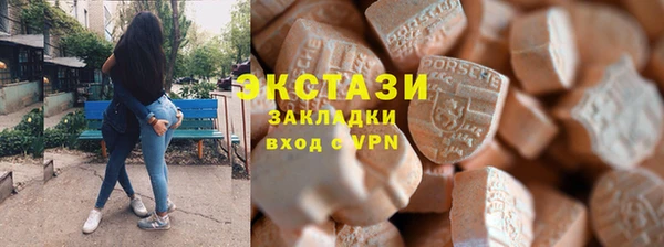 гашик Козельск